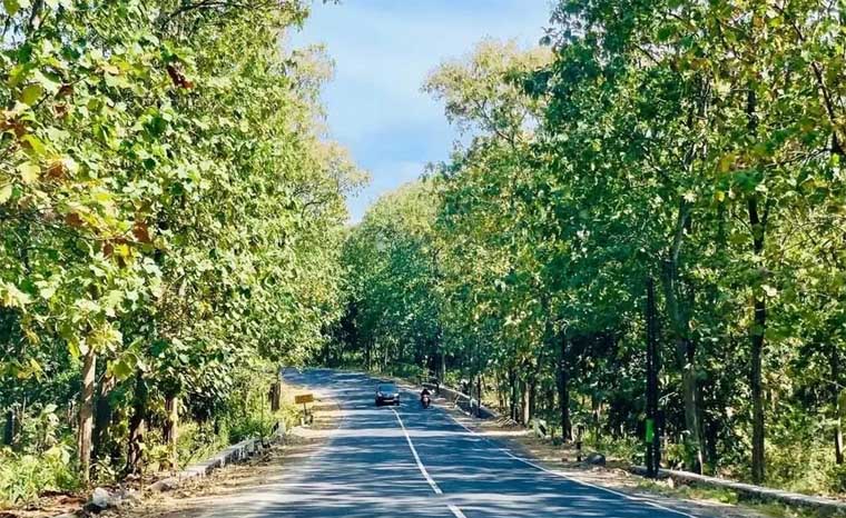 Jalan Pantura yang melewati Taman Nasional Baluran ini bisa jadi alternatif paling aman pasca penutupan Jalur Gunung Gumitir Jember-Banyuwangi.