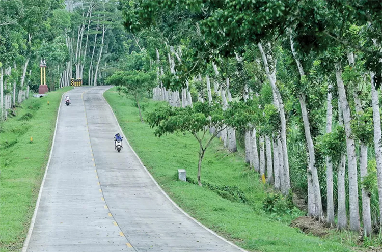UJUNG TIMUR: Jalur Lintas Selatan yang berada di Kecamatan Glenmore, Banyuwangi, melewati perkebunan Kendenglembu dan Kalirejo.