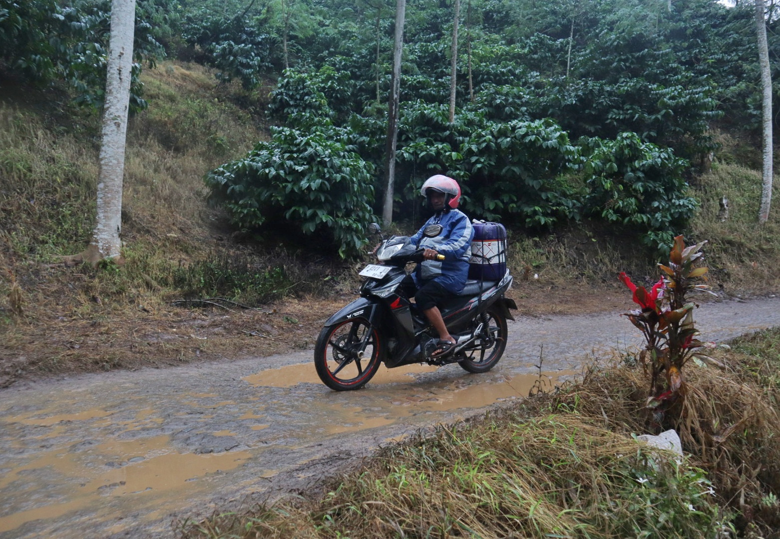 Salah satu warga dari Jember yang diduga membeli BBM dari SPBU di Banyuwangi melintas di jalur alternatif Gumitir pada Rabu (30/7/2025).