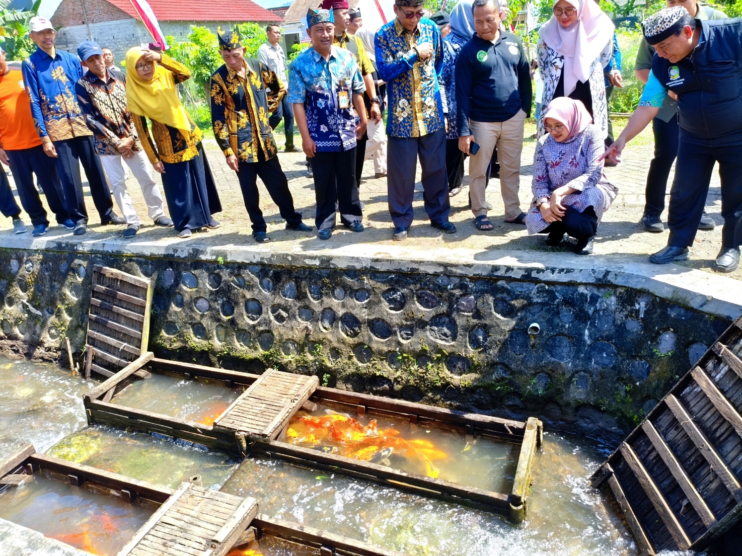 Bupati Ipuk Fiestiandani saat meninjau kelompok budidaya ikan di Desa Sepanjang, Glenmore.
