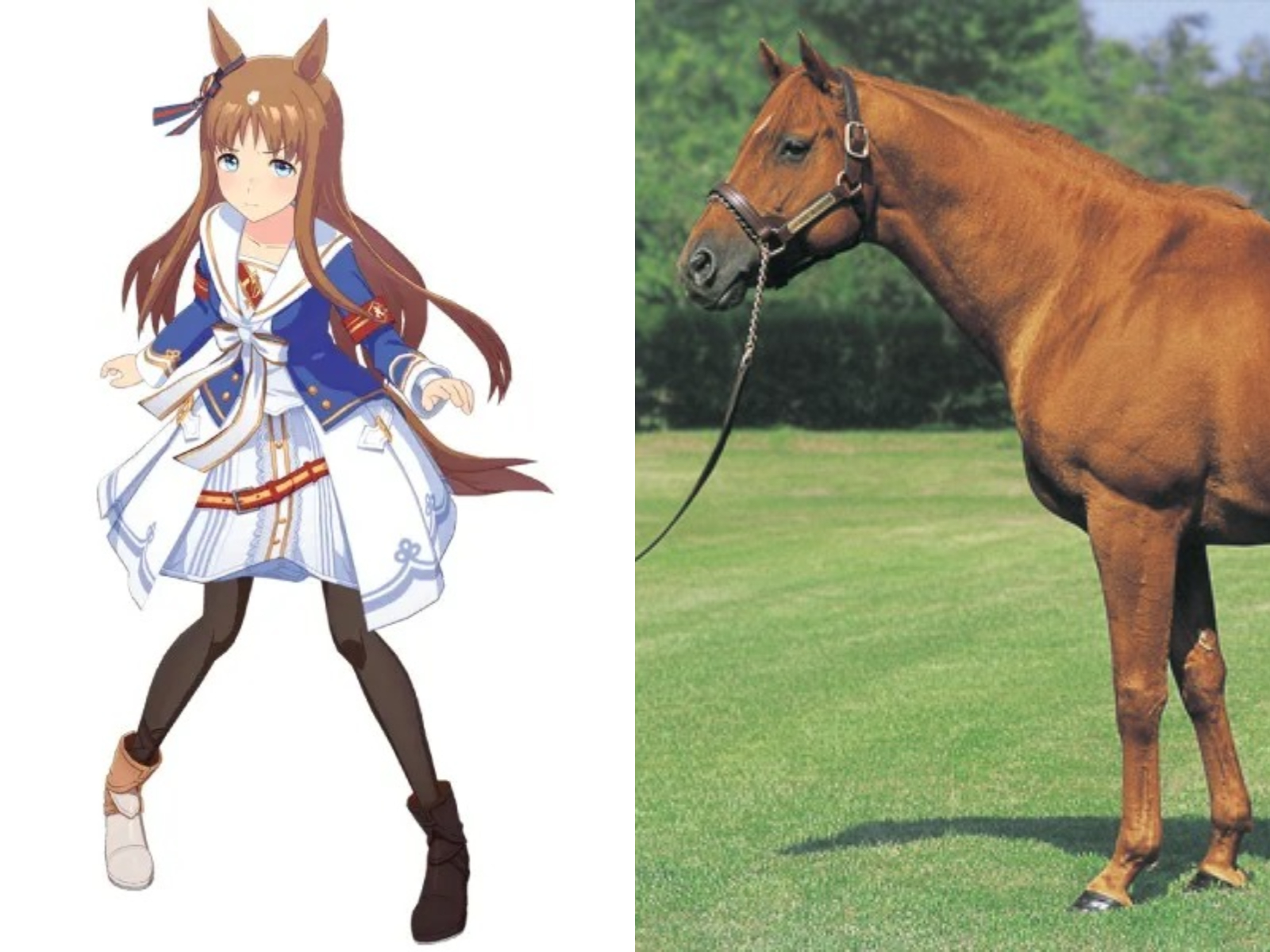 Grass Wonder, kuda balap legendaris dan inspirasi karakter Umamusume.