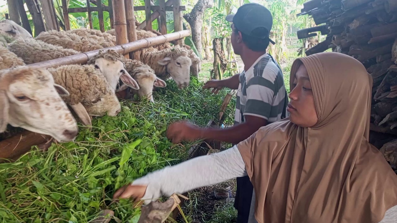 Kisah Evi Widiawati, buruh tani Banyuwangi, yang hidup di rumah rapuh. TMMD 125 mengubahnya jadi hunian layak penuh harapan.