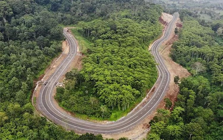 Jalur lintas selatan di Kabupaten Banyuwangi. Salah satunya melintasi Desa Karangharjo di Kecamatan Glenmore di lokasi perkebunan Kendeng Lembu.