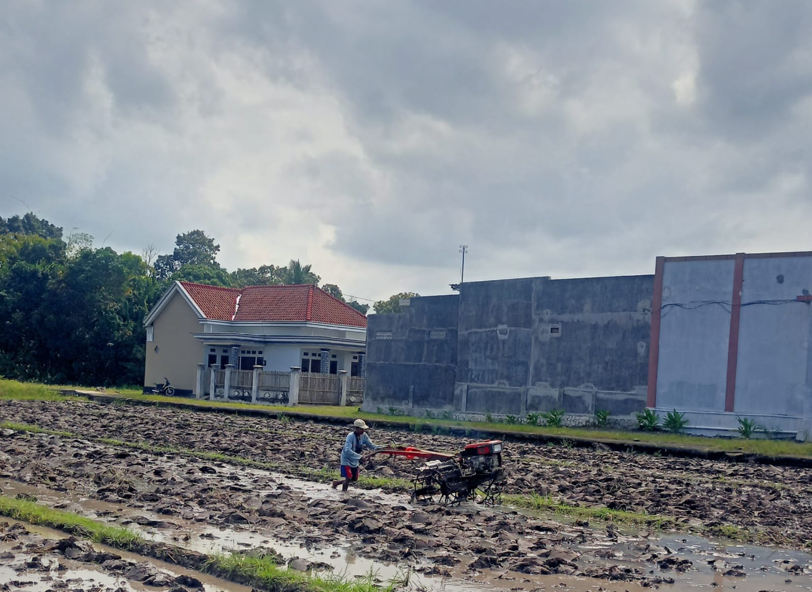 Sumardi membajak sawah di Dusun Krajan, Desa Kebaman, Kecamatan Srono.