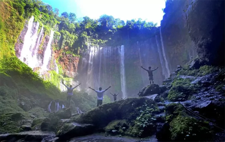 Kumpulan mata air yang mengalir di Tumpak Sewu menghasilkan formasi unik.