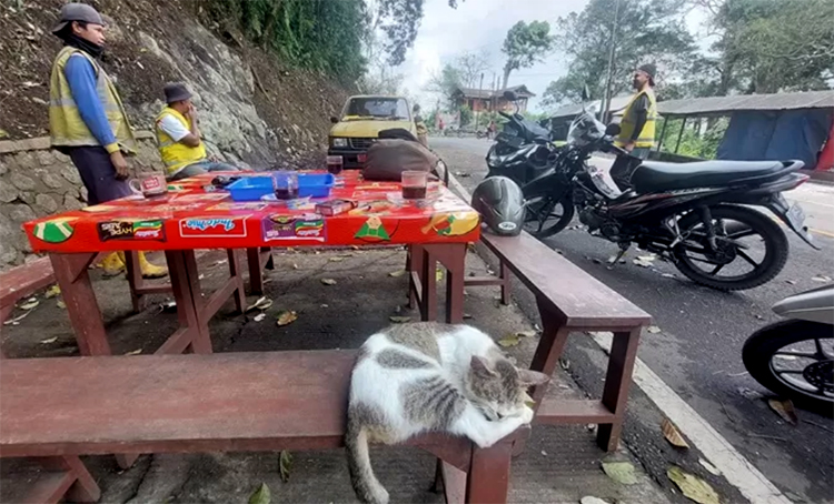 Pelanggan menikmati kopi di pinggir jalan nasional Gumitir yang kini lengang pasca penutupan total jalan.