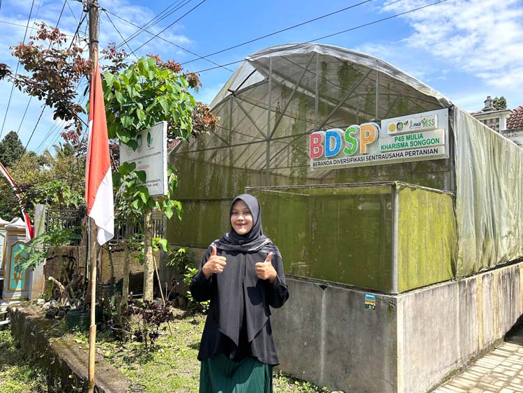 Risma berhasil mengembangkan bisnis durian dengan mendirikan Pusat Pelatihan Pertanian dan Perdesaan Swadaya (P4S) yang difasilitasi oleh pemerintah.