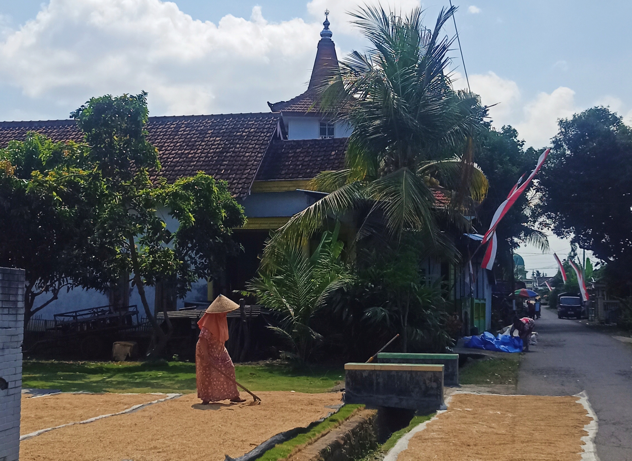 Salah satu petani Sumarsini, sedang menjemur gabah di teras rumahnya Dusun Krajan, Desa Parijatah Kulon, Kecamatan Srono
