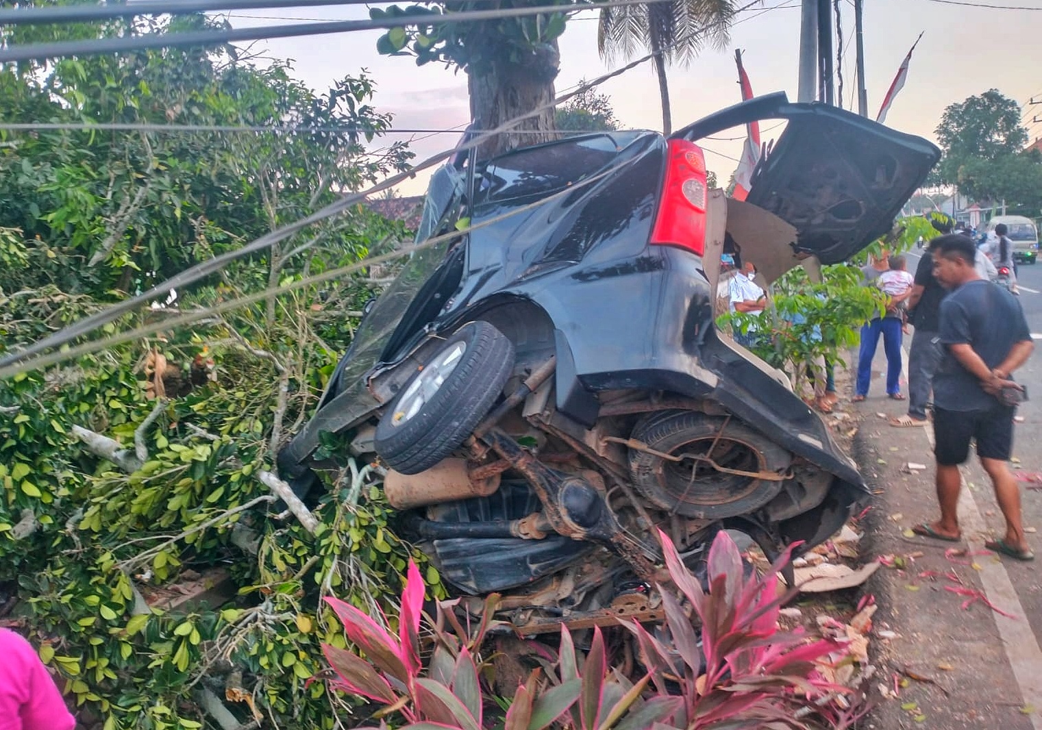 Mobil Toyota Avanza yang disopiri Imam Bukhori hancur setelah menabrak pohon Nangka di jalan raya Dusun Sumberbening, Desa Kesilir, Kecamatan Siliragung pada Rabu (3/9).