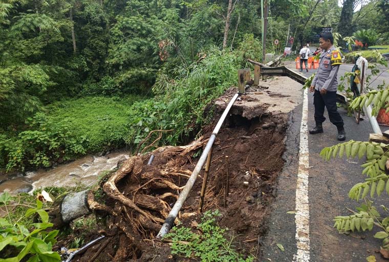 LONGSOR: Anggota  Polsek Licin menunjukkan bahu jalan yang longsor digerus air hujan di  tikungan Desa Jelun, Banyuwangi, Selasa (9/9).