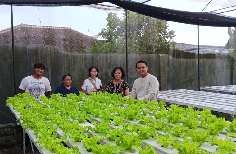 PEMUDA INSPIRATIF: Alumni Jagoan Tani 2021 Ferdiansyah (kanan) kini telah berhasil mengembangkan bisnis hidroponik sayur selada yang menembus pasar luar daerah.