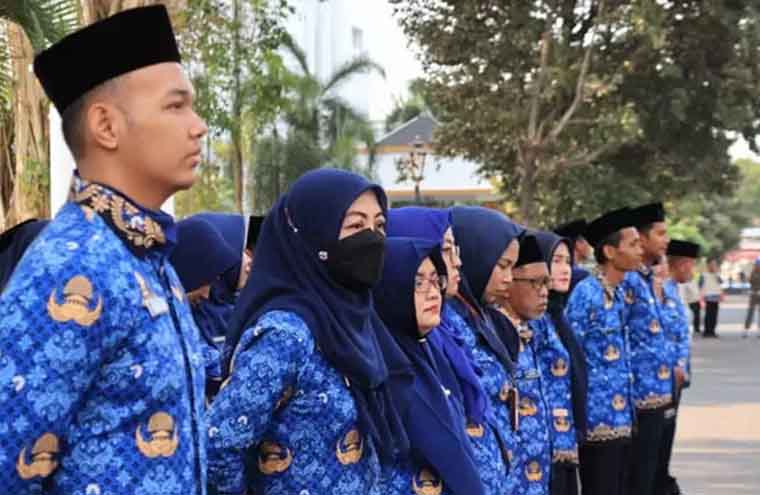 Ilustrasi Aparatur Sipil Negara (ASN).