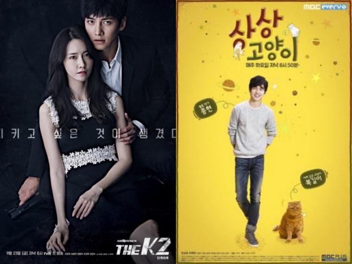 The K2 & Imaginary Cat