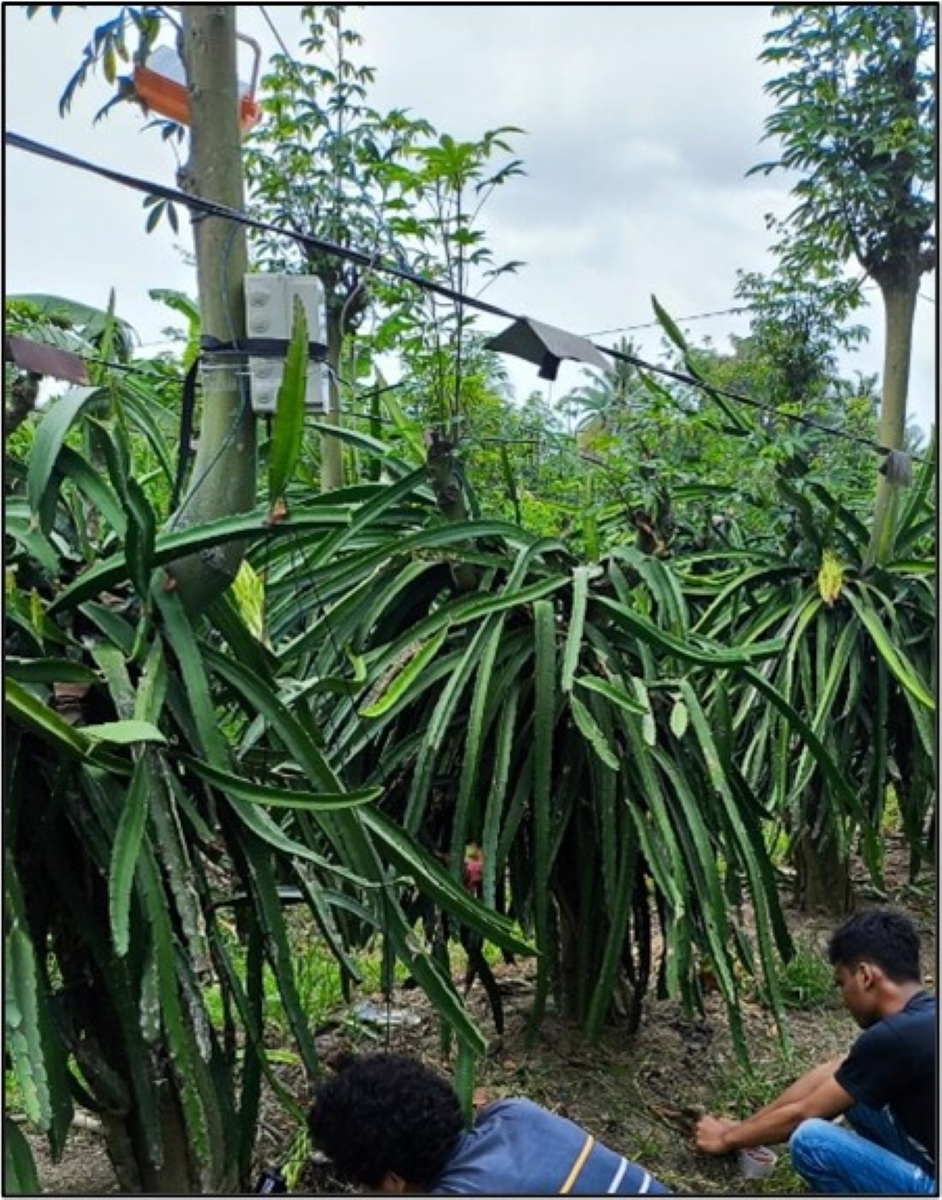 Pemasangan Sensor pH dan Kelembapan Tanah.