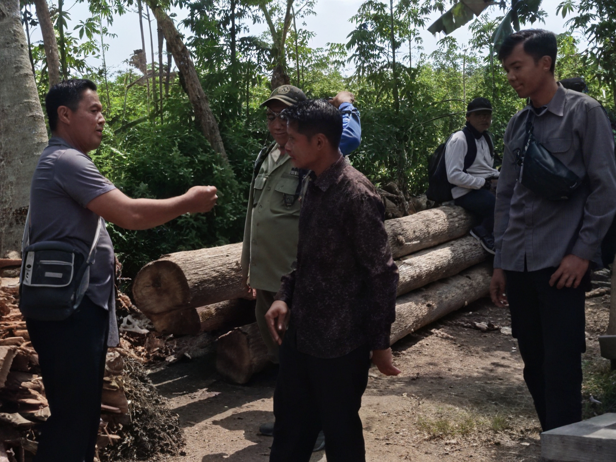 Gelondong kayu jati dan dua gerobak di Dusun Sumberejo, Desa/Kecamatan Tegaldlimo.