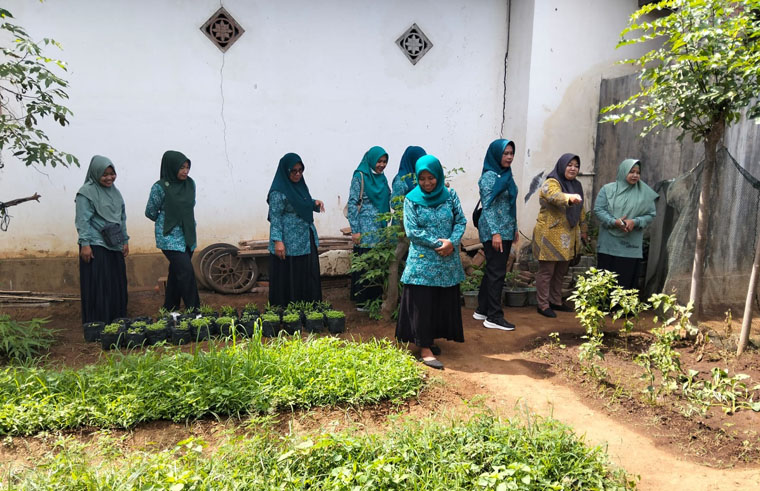 PKK melaksanakan pembinaan pemanfaatan pekarangan rumah sebagai upaya nyata menekan kasus stunting melalui penyediaan pangan sehat dan bergizi dari hasil kebun keluarga.