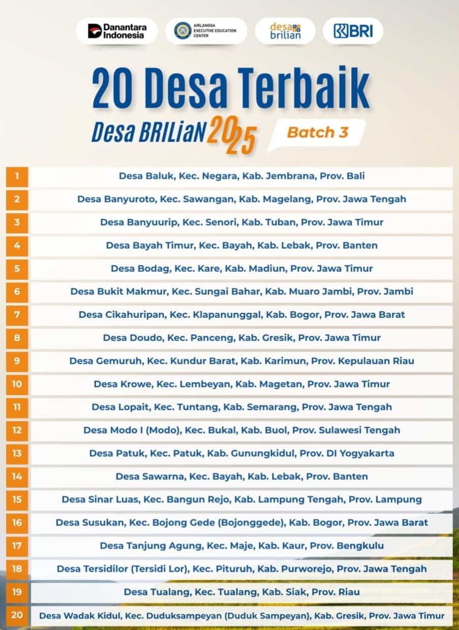 Daftar 20 Desa Brilian Terbaik 2025.