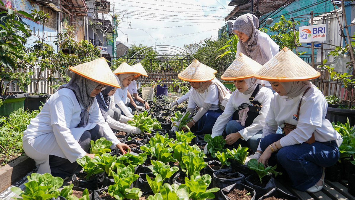 BRI Peduli gelar Panen Raya BRInita di Bandung. Program urban farming ubah lahan sempit jadi sumber pangan dan ekonomi warga kota.
