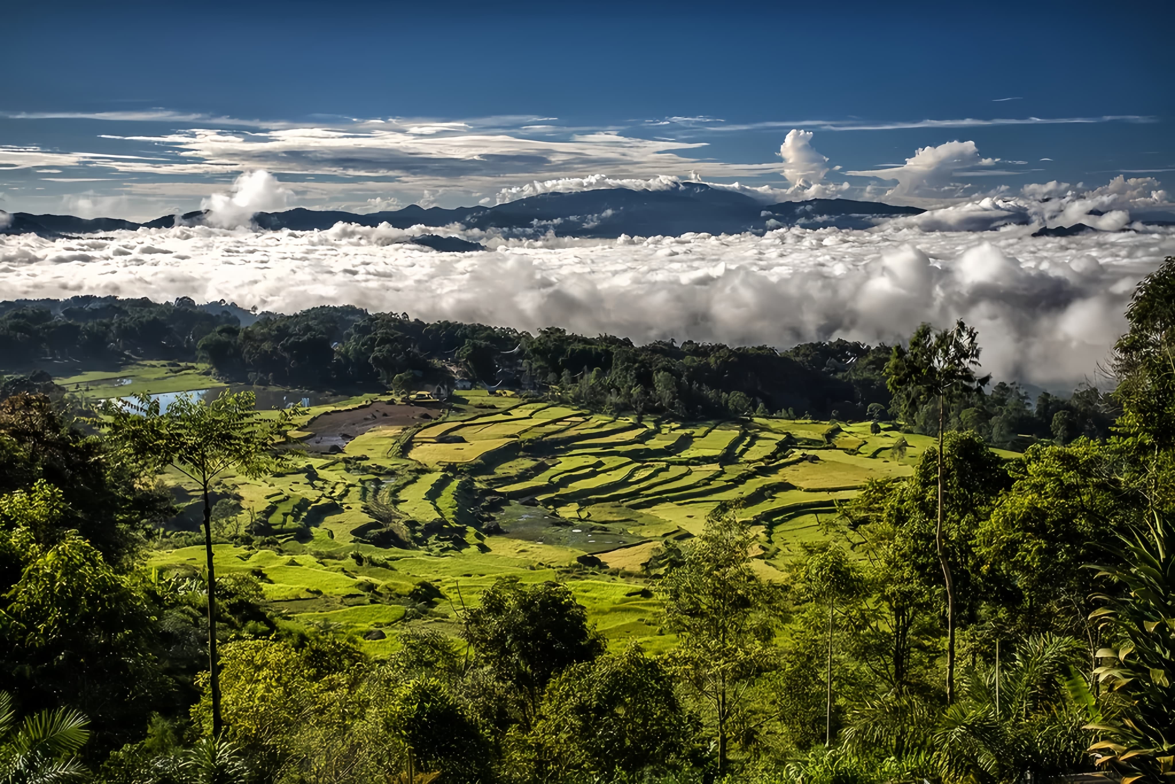 Tana Toraja