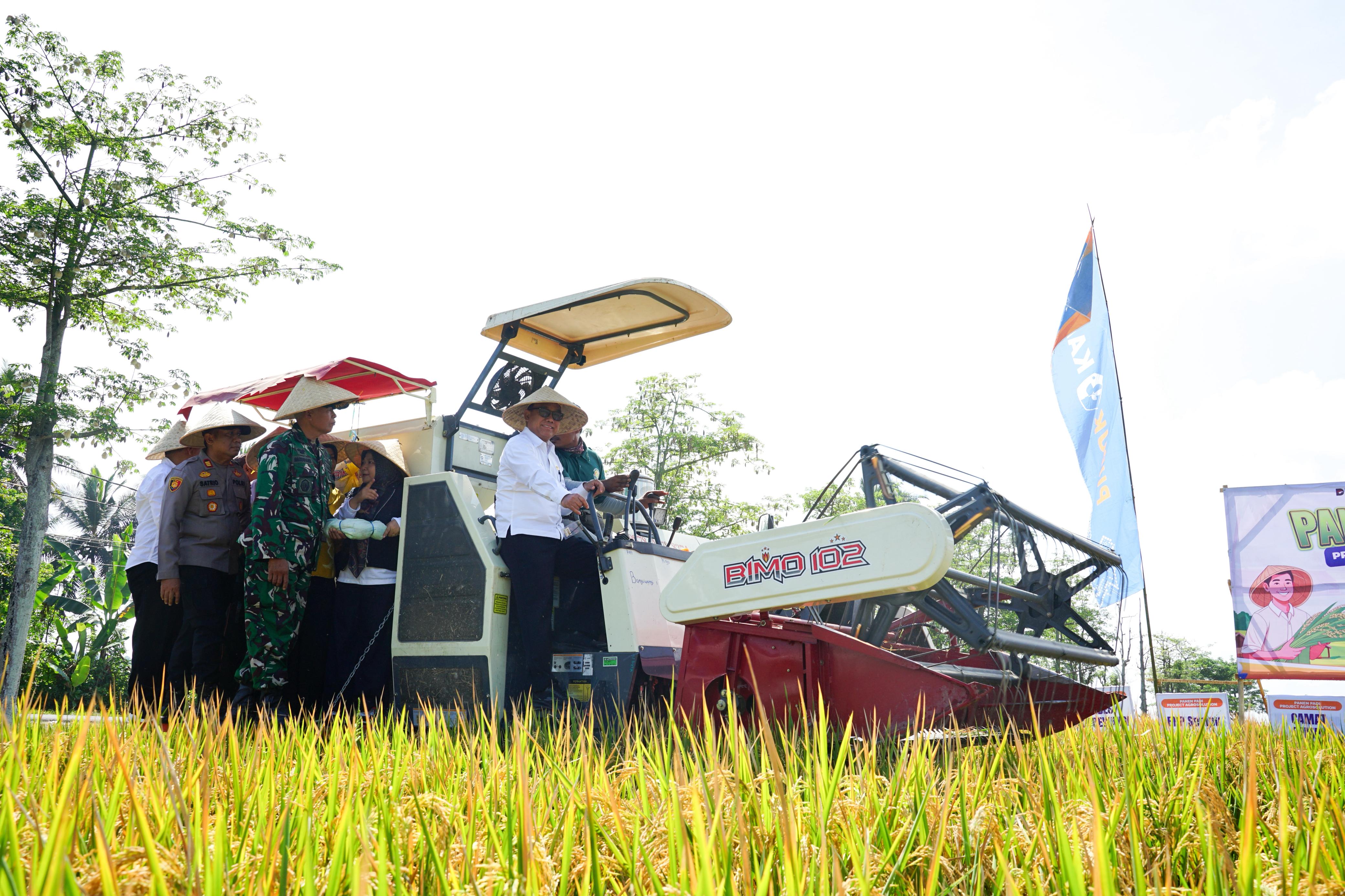 PANEN RAYA: Wakil Bupati Mujiono naik di atas Meni Combine (mesin pemanen padi)   di lahan persawahan Desa Jambewangi, Kecamatan Sempu, Rabu (22/10).