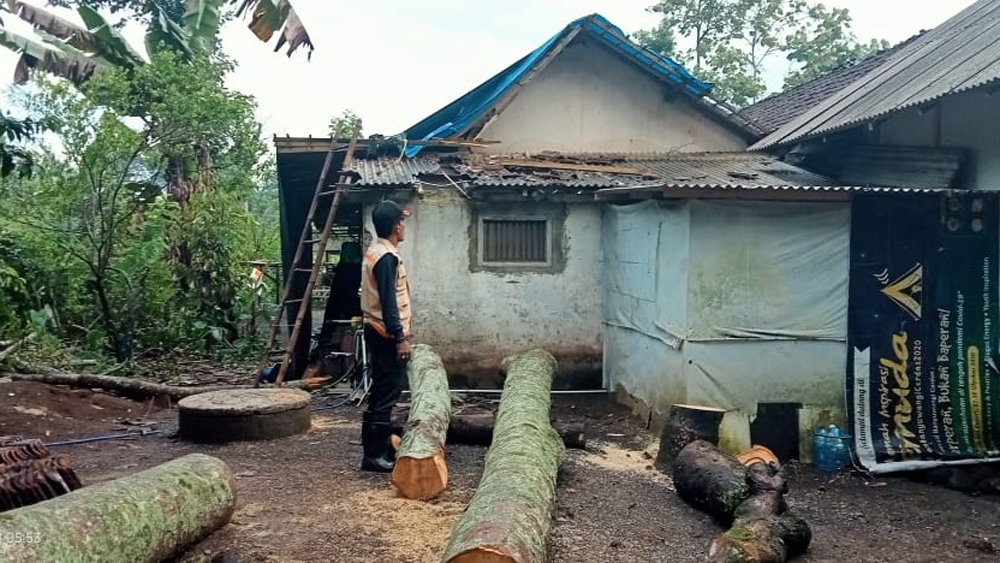 Anggota TRC BPBD Kalibaru, Mad Sholeh mengecek kondisi bangunan rumah warga Tegalgondo, Kajarharjo, Kalibaru yang rusak tertimpa pohon waru hutan pada Sabtu (1/11).