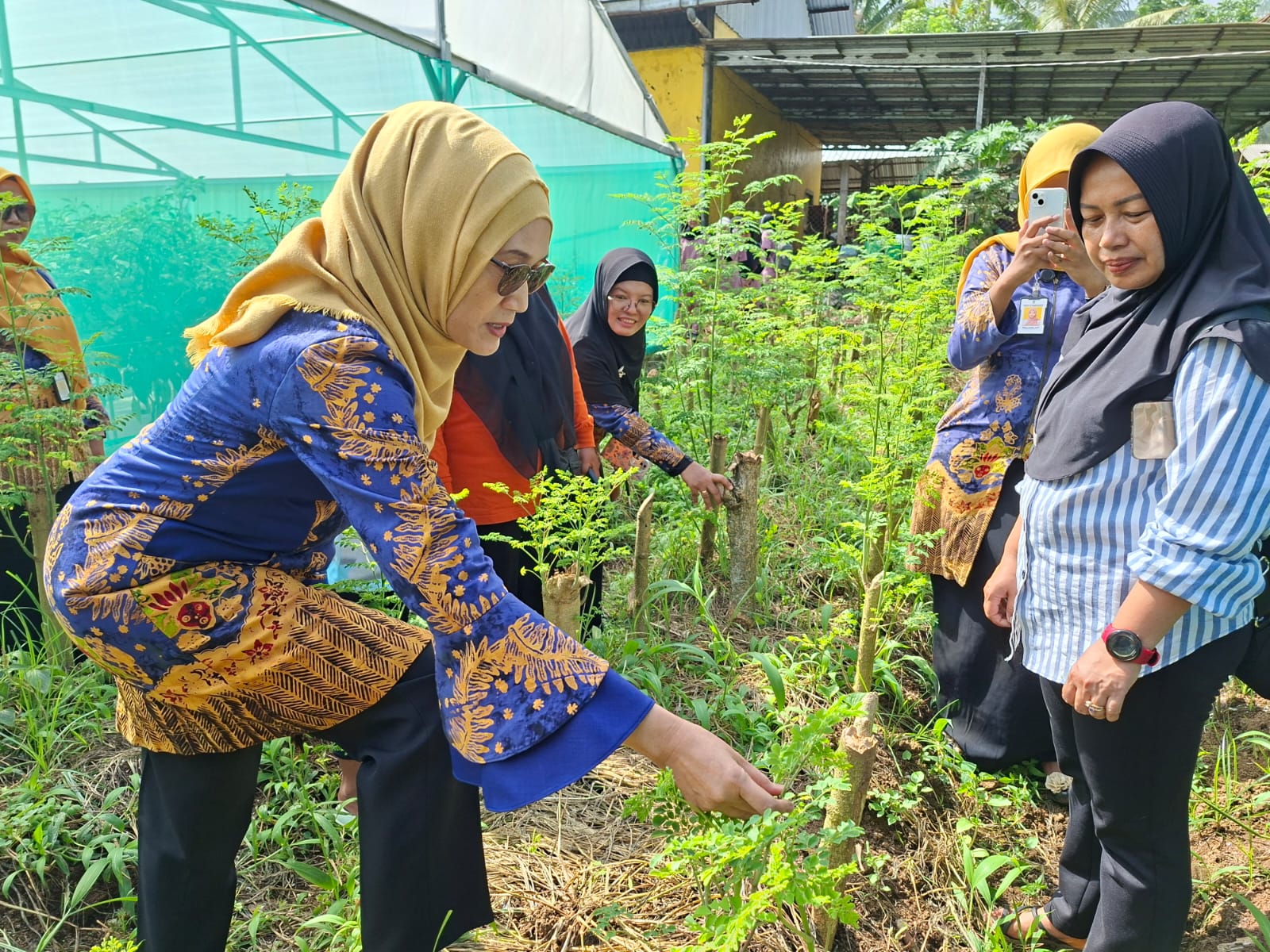 KEMBANGKAN INOVASI: Plt. Direktur RSUD Blambangan dr Siti Asiyah Anggraini, MMRS, FISQua, CHQP berserta tim apoteker dari RSUD Blambangan memberikan pengarahan kepada masyarakat Desa Tamansari, Licin.