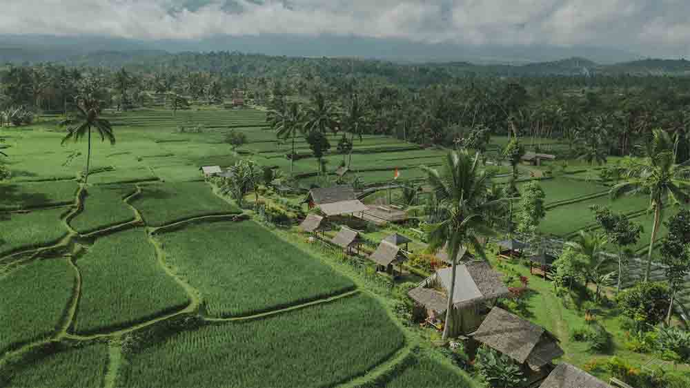 Nikmati pesona Ijen Golden Route Banyuwangi: wisata alam, kuliner, budaya, dan staycation eksklusif di kaki Gunung Ijen.