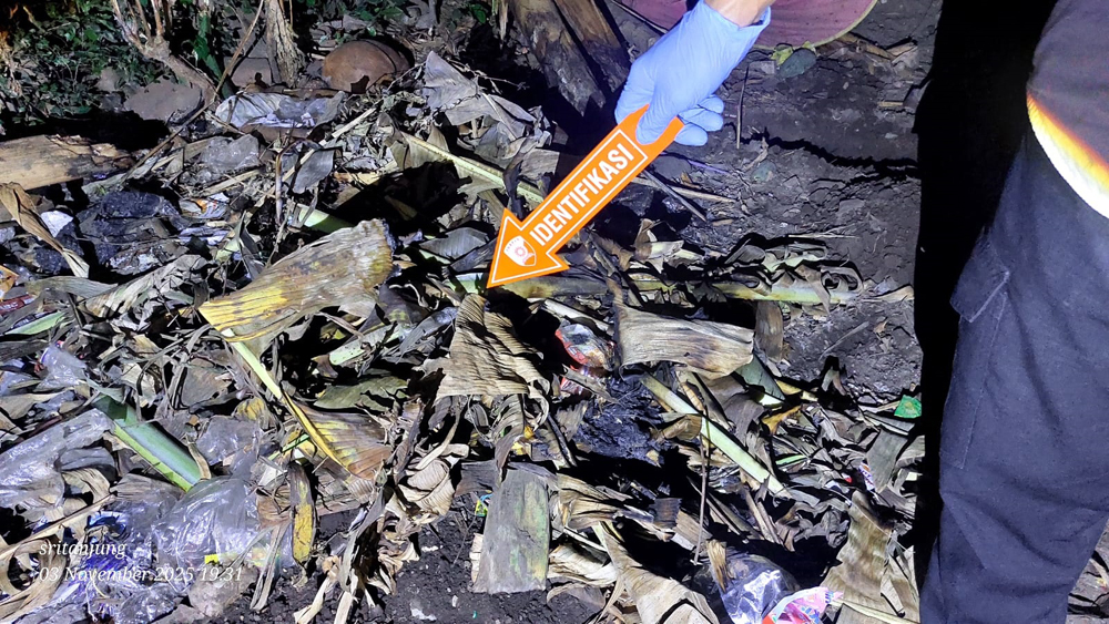 Lokasi bayi dikubur oleh ibunya sendiri di belakang rumahnya di Alasbuluh, Wongsorejo, Banyuwangi.