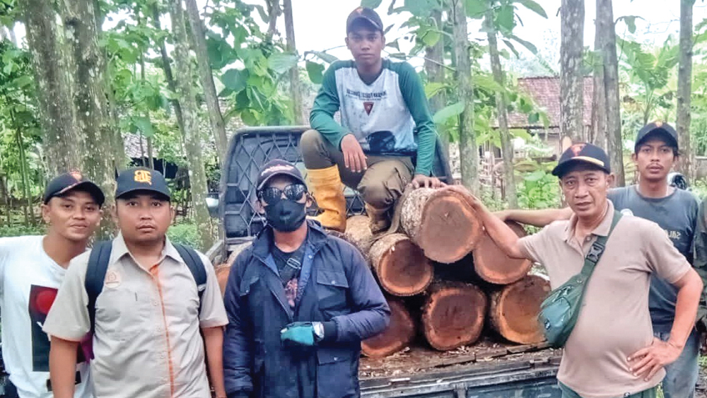 Petugas patroli Perhutani KPH Banyuwangi Selatan menemukan pembalakan liar di Petak 36A Siliragung, Kamis (6/11).