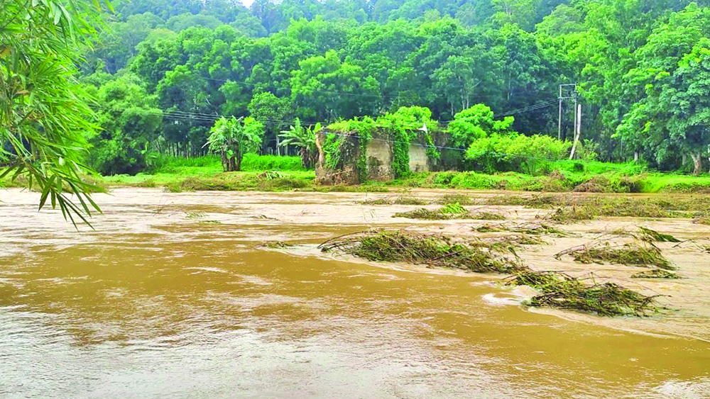 MELUAP: Sungai di Dusun Sukamade, Desa Sarongan, Kecamatan Pesanggaran meluap, Rabu (12/11).