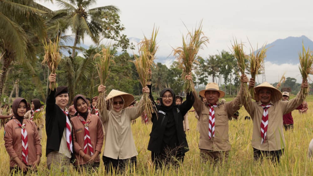 Bupati Ipuk panen padi di Green Farm Desa Karangsari, Kecamatan Sempu, Banyuwangi.