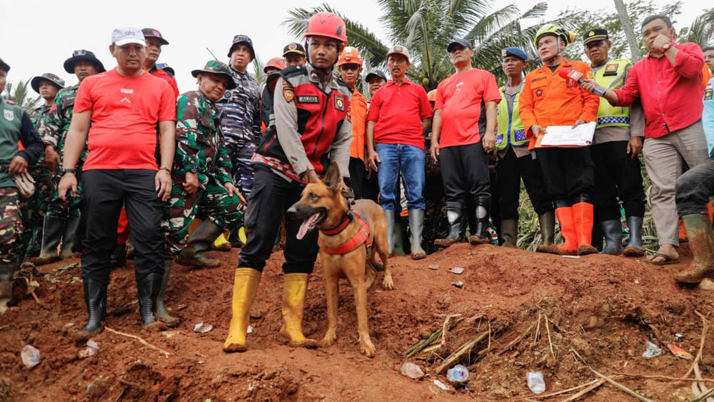Tim SAR menerjunkan anjing pelacak untuk mencari korban tanah longsor di Cilacap Jawa Tengah.