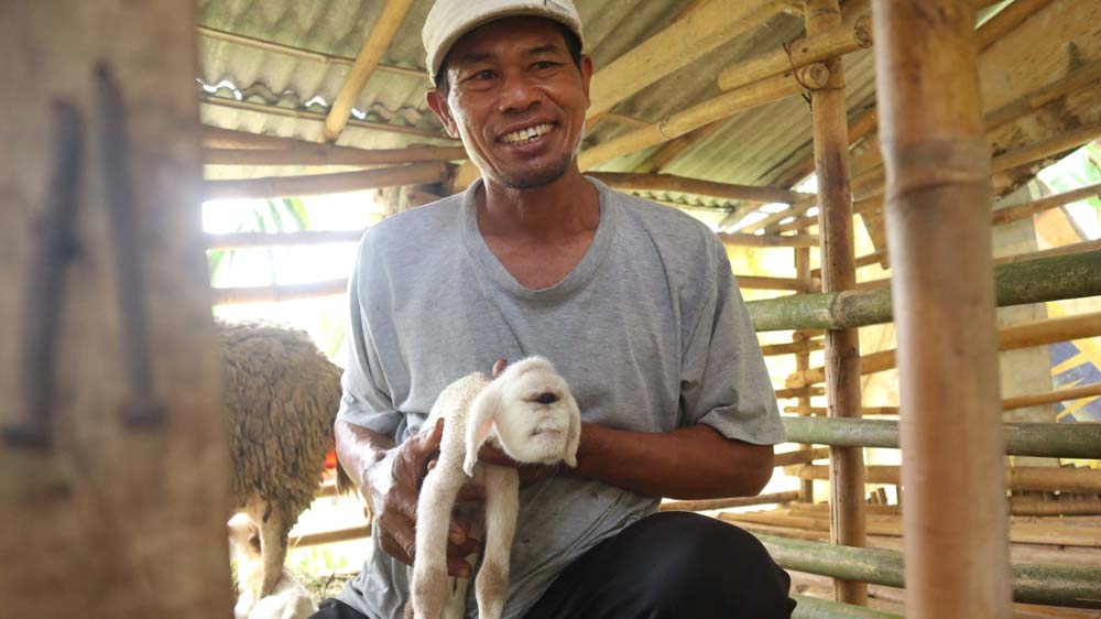 Suhailik memegang anakan kambing bermata satu miliknya di Dusun Tojo Kidul, Desa Temuguruh, Kecamatan Sempu, Kamis (27/11).