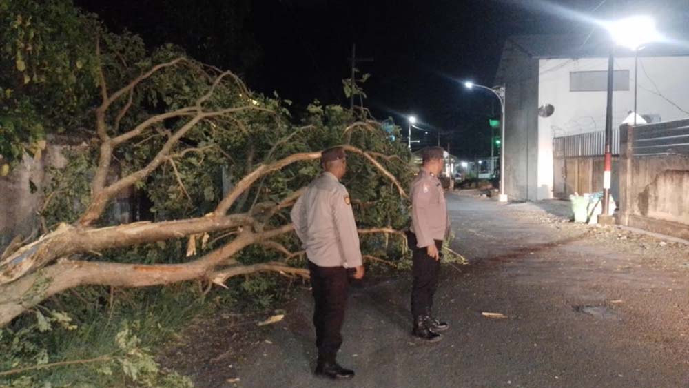 Anggota Polsek Rogojampi tangani pohon tumbang di Jalan Raya alternatif Desa Lemahbangdewo, Kecamatan Rogojampi, Kamis malam (27/11).