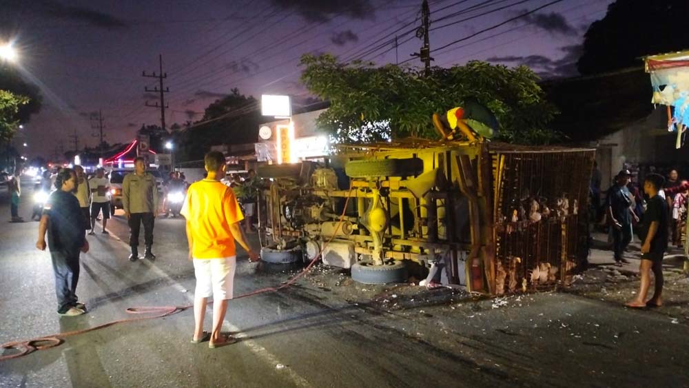TUMPAH DI JALAN: Truk muatan ayam potong terguling di jalan raya Sumberbening, Desa Kesilir, Kecamatan Siliragung pada Jumat (28/11).