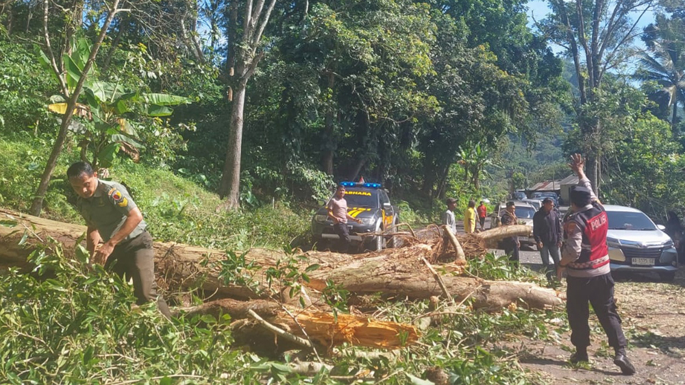 Petugas kepolisian bersama personel TNI dibantu warga mengevakuasi evakuasi pohon tumbang di jalan raya di Gunung Gumitir, Senin (1/12).