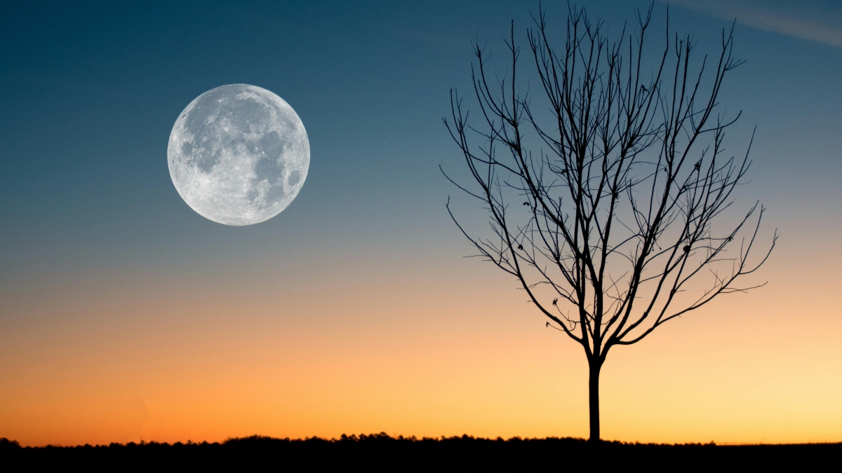 Fenomena langit Cold Moon akan muncul 4 Desember 2025.