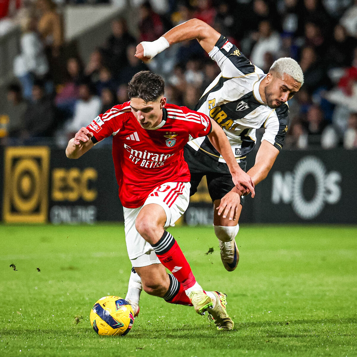 DERBI LISBOA: Benfica akan menjamu Sporting Lisbon dalam lanjutan Liga Portugal