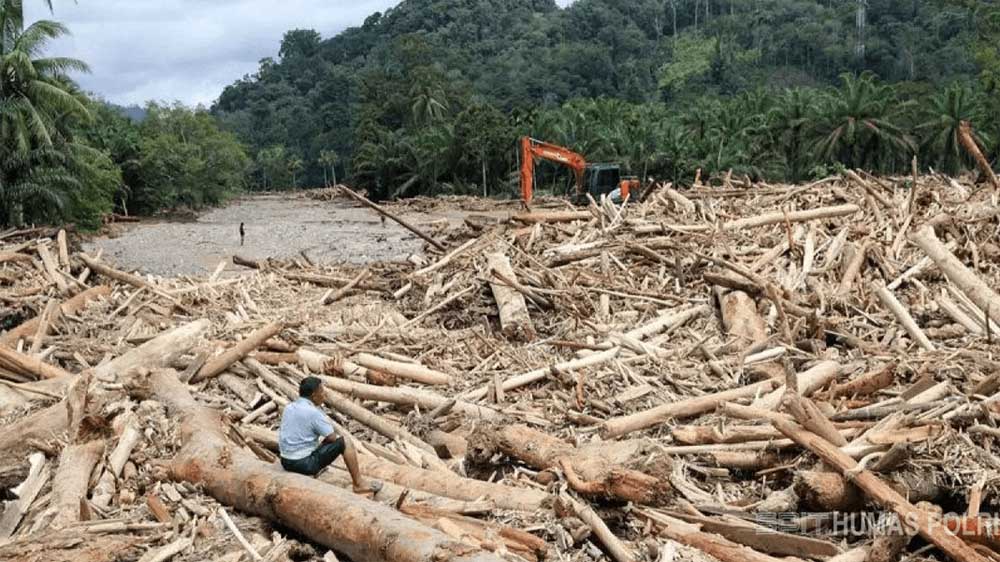 Dugaan Pembalakan Liar di Sumatera Tengah Diselidiki Dittipidter Bareskrim Polri.