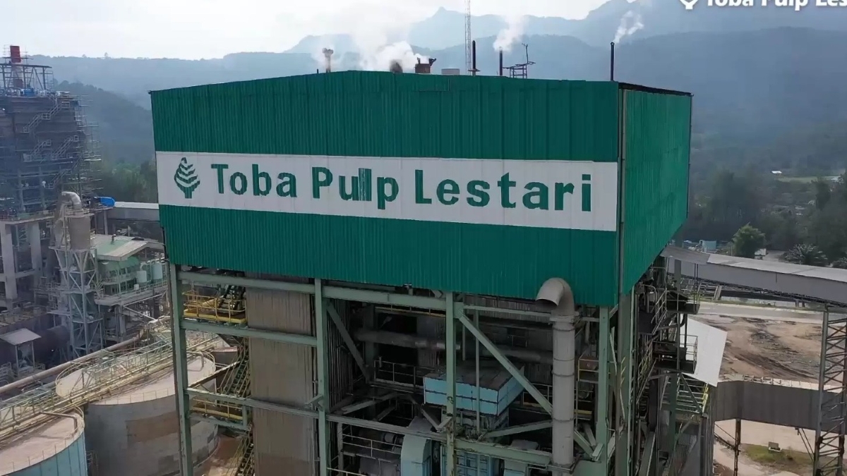 Mengulas struktur kepemilikan PT Toba Pulp Lestari.