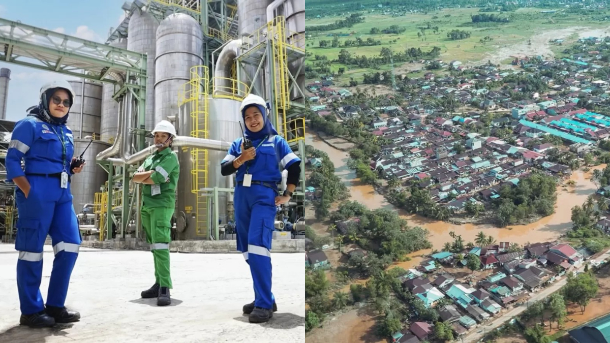 Pemilik PT Toba Pulp Lestari terungkap.