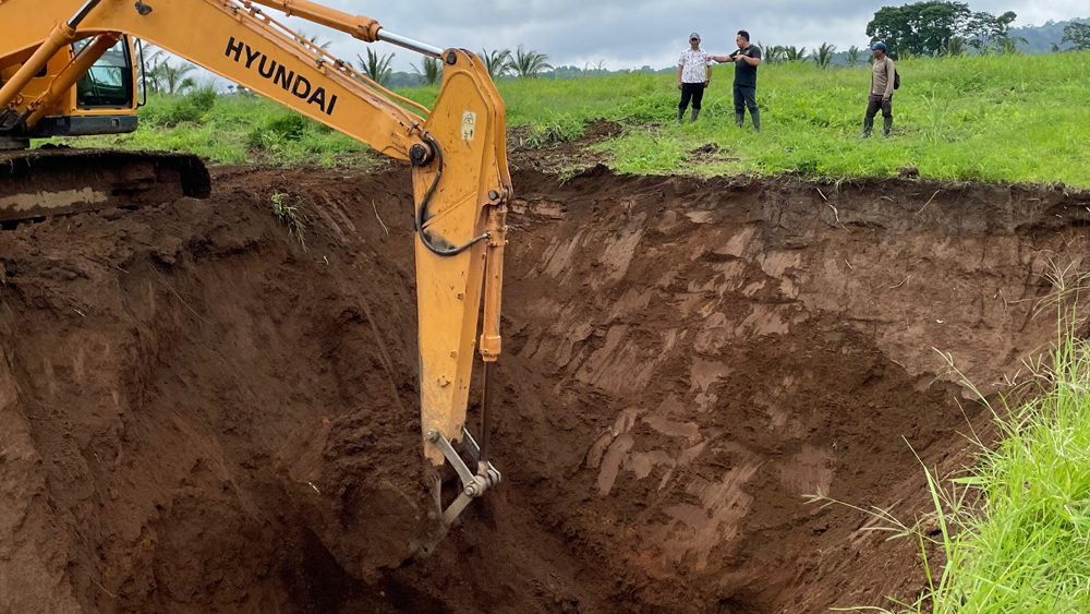 PT Perkebunan Lidjen yang berlokasi di Desa Tamansari, Kecamatan Licin, membuat puluhan rorak berukuran raksasa.