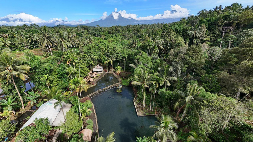 Banyu Kuwung di Licin, Banyuwangi hadir sebagai destinasi pemandian alami baru di kaki Gunung Ijen dengan kolam mata air sejuk dan panorama hijau yang menenangkan.