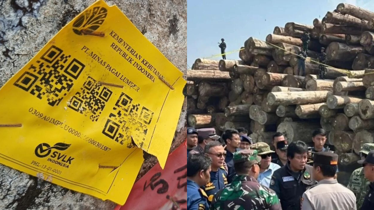 Misteri 4.800 kubik kayu berbarcode Kemenhut terdampar di Pantai Tanjung Setia diselidiki polisi.