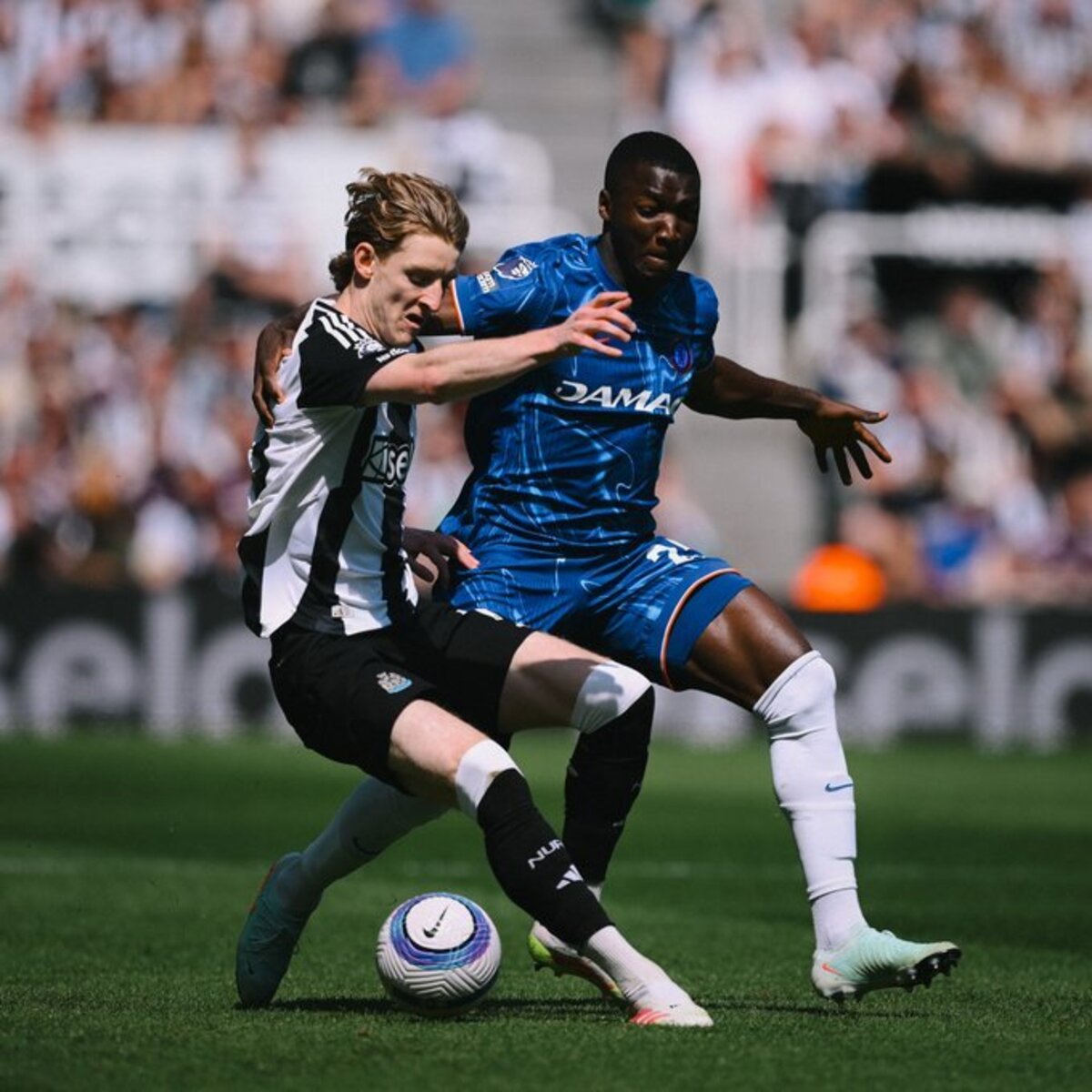 DUEL KETAT: Chelsea akan menghadapi Newcastle United di Premier League pekan ini