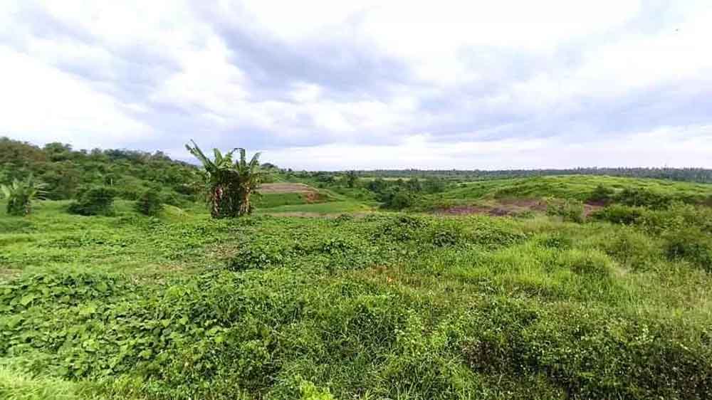 Lahan Perumda Pekutatan yang sudah dibebaskan untuk pembangunan Jalan Tol Gilimanuk Mengwi.