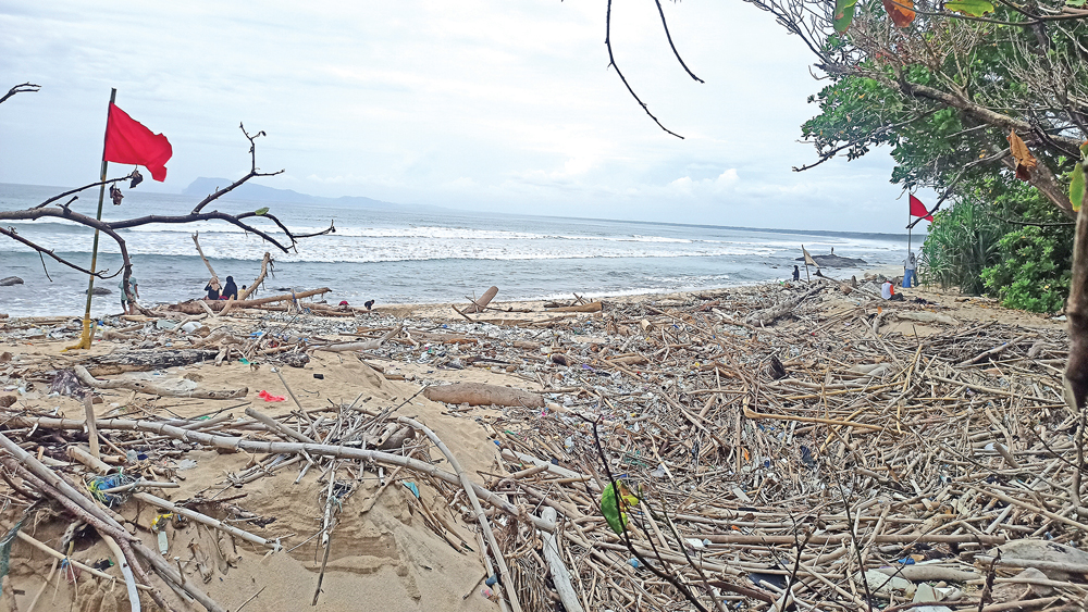 Pantai Pancur di Taman Nasional Alas Purwo, Dusun Kutorejo, Desa Kalipait, Kecamatan Tegaldlimo, dipenuhi sampah kayu, Kamis (1/1).