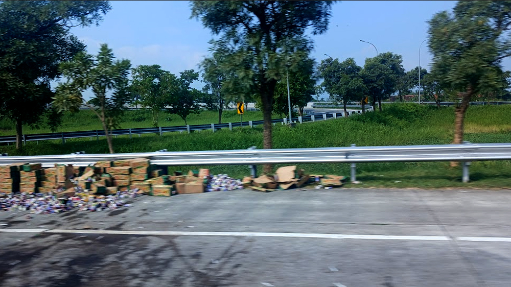 Tanaman penghijauan di simpang susun exit Pasuruan di ruas jalan tol Paspro Jatim.