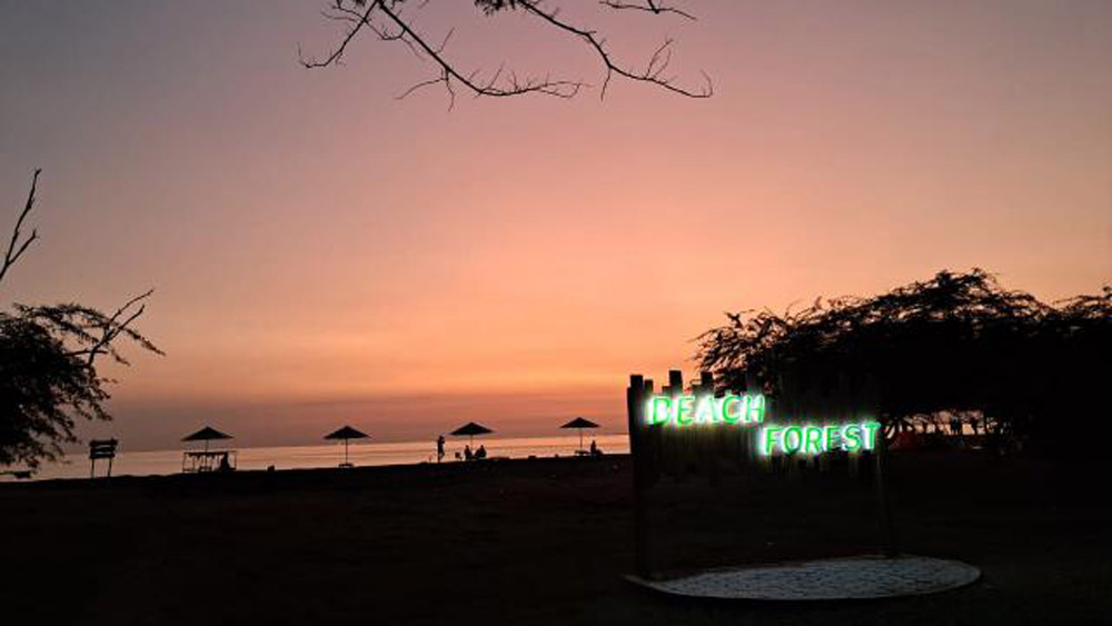 Tol Prosiwangi tak hanya tingkatkan konektivitas, tapi juga suguhkan panorama indah, termasuk Beach Forest Situbondo dengan nuansa ala Bali.