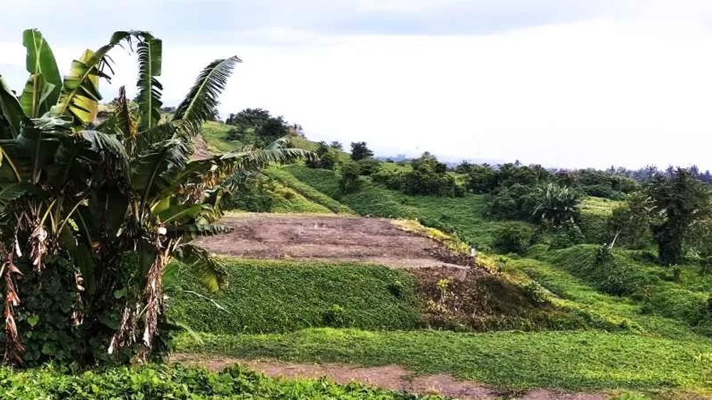MASIH BISA BERUBAH: Lokasi peletakan batu pertama jalan tol tahun 2022 di tanah perkebunan Pekutatan milik Perumda Bali.